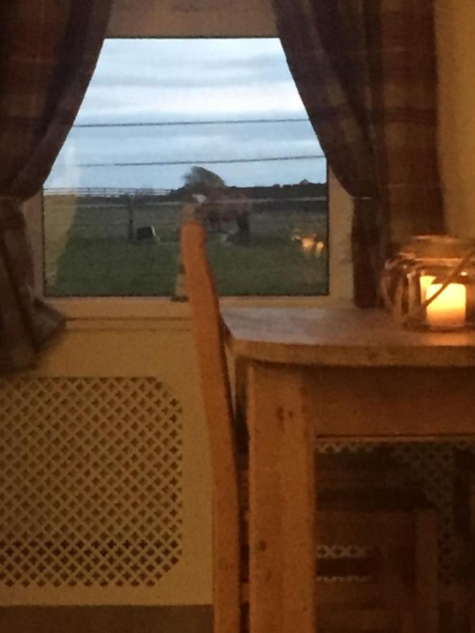 Sea View Cottage Lake District Coast Haverigg Millom Exteriér fotografie